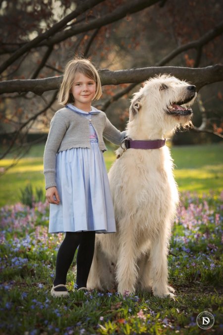 Kleines Mädchen mit Irish Wolfhound