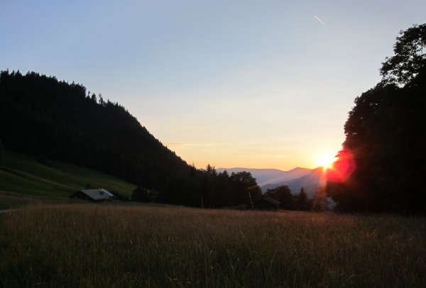 Windhundspaziergang mit Sonnenuntergang am Untersberg