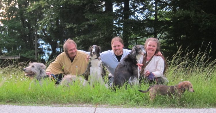 Irish Wolfhound, Barsois und Jack-Dackels nach dem Spaziergang