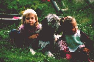 Familienhund und Kinderfreund Irish Wolfhound